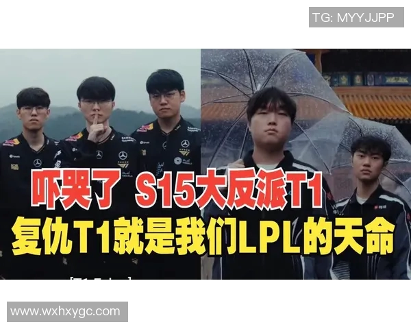 S15LOL比赛中V5战队速度表现的全面数据分析与解读