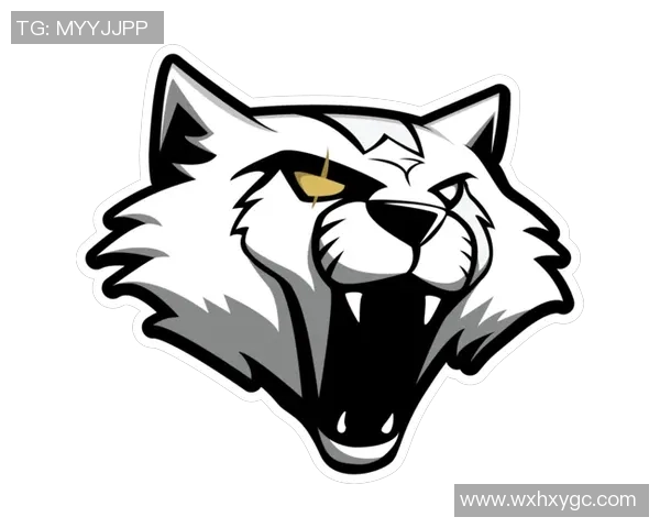 S15LOL赛事最新比分分析CSGO个人能力排名TOP10WE战队表现突出 S15LOL赛事最新比分分析CSGO个人能力排名TOP10WE战队表现突出