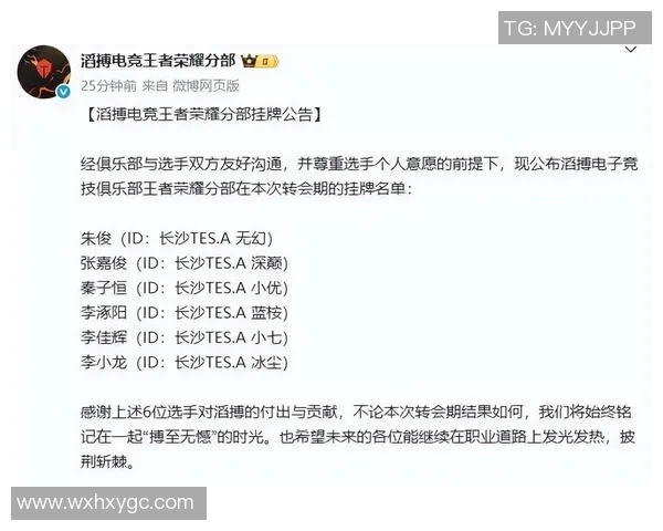 电竞新闻王者荣耀热议TES实力之争引发的战术与团队合作探讨