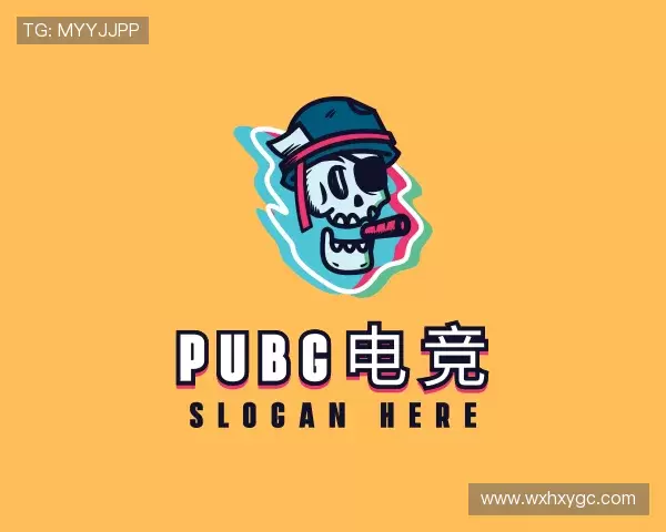 介绍pubg电竞